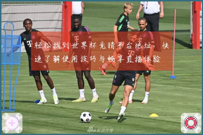 轻松找到世界杯竞猜平台地址，快速了解使用技巧与畅享直播体验