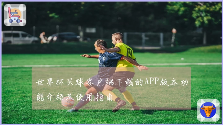 世界杯买球客户端下载的APP版本功能介绍及使用指南