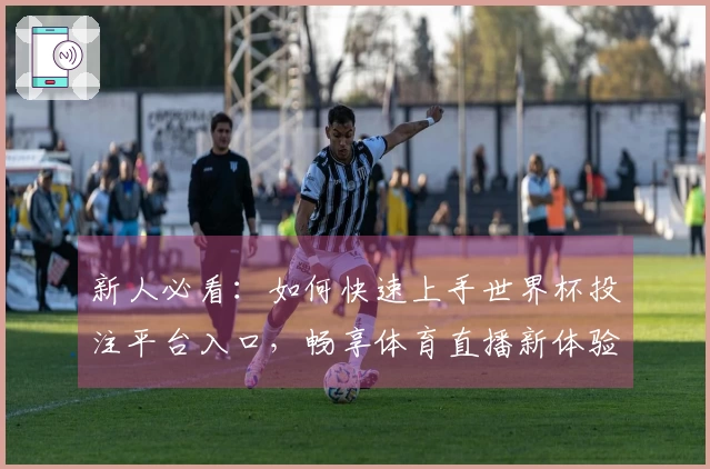 新人必看：如何快速上手世界杯投注平台入口，畅享体育直播新体验