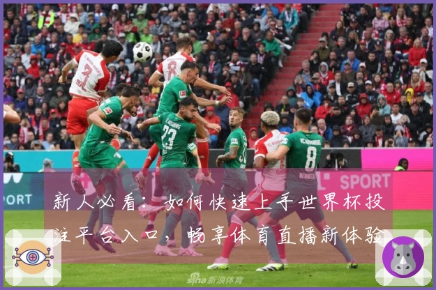 新人必看:如何快速上手世界杯投注平台入口,畅享体育直播新体验